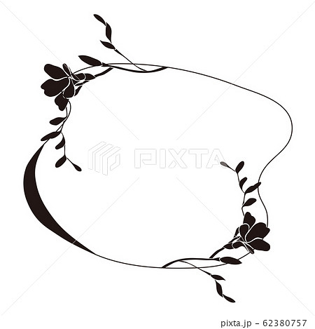 モノクロ 白黒 ラナンキュラス 花のイラスト素材