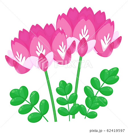 れんげ草のイラスト素材