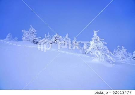 登山 吹雪 雪山 冬山の写真素材