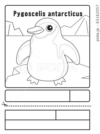 白黒 ペンギンのイラスト素材