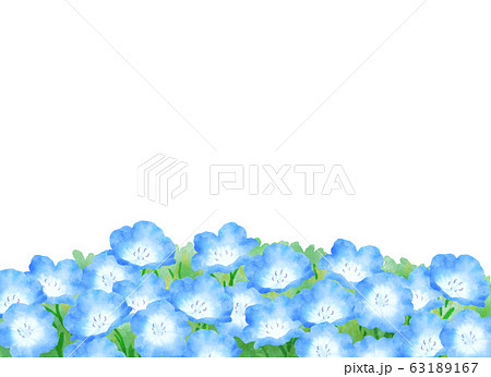 ネモフィラ 青い花 丘 風景のイラスト素材 - PIXTA