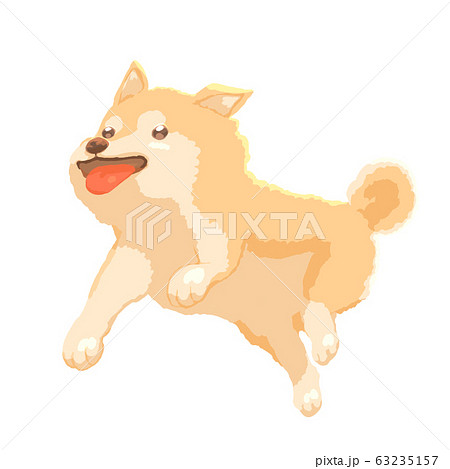 柴犬 犬 子犬 走るのイラスト素材