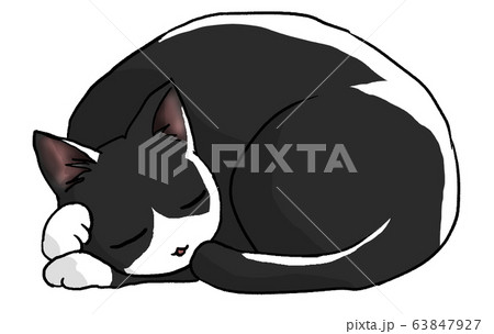 にゃーのイラスト素材