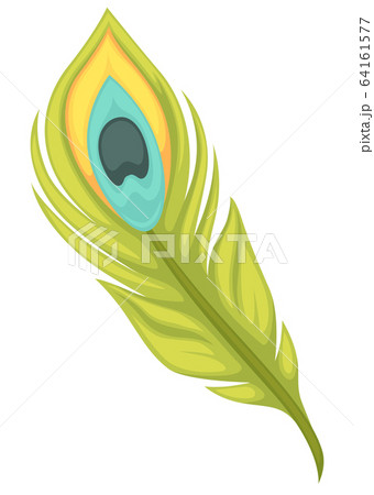 鳥 孔雀 羽 七色のイラスト素材