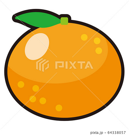 みかん アイコンの写真素材