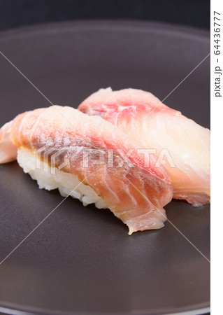 寿司 いさき 料理 和食の写真素材