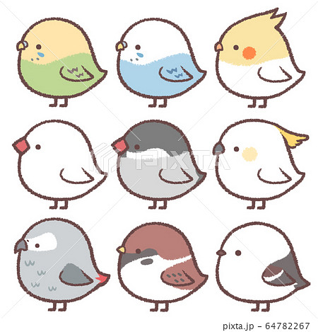 動物 鳥のイラスト素材