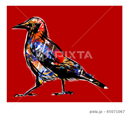 カラスの羽根のイラスト素材