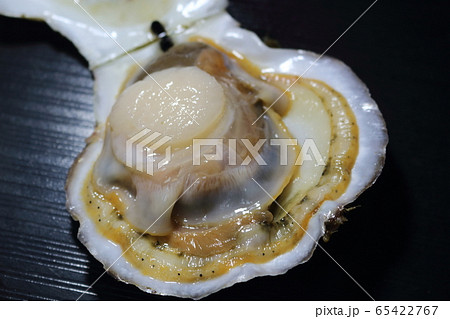 外套膜 二枚貝の写真素材