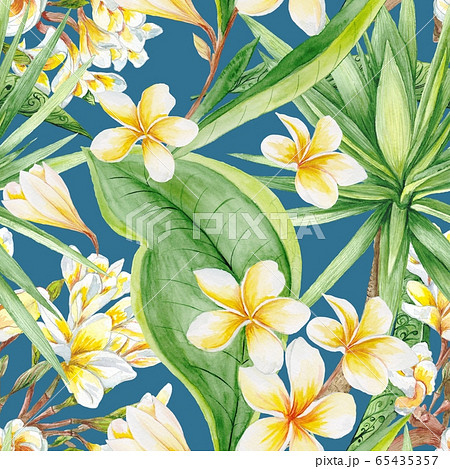 プルメリア イラスト ハワイ 壁紙 パターンの写真素材