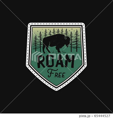 Vintage camp patches logos, mountain badges - Stock Illustration  [65444562] - PIXTA