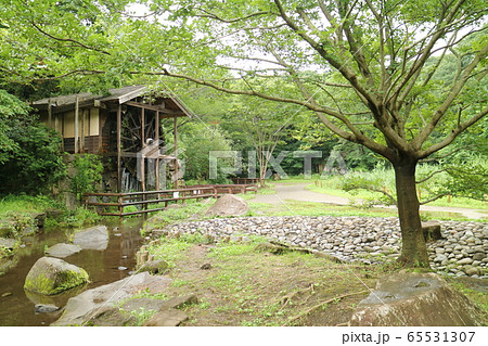 神奈川県 大和市 泉の森 水車小屋の写真素材