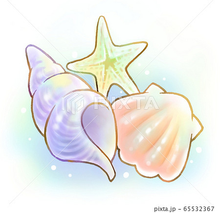 Giant Scallop Photos