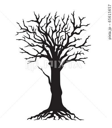 木の根っこ 木 樹木 モノクロのイラスト素材