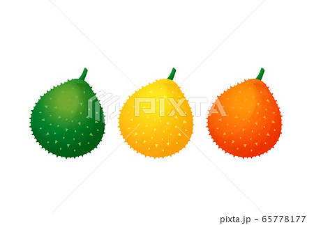 画像をダウンロード ガックフルーツ ガックフルーツ 苗