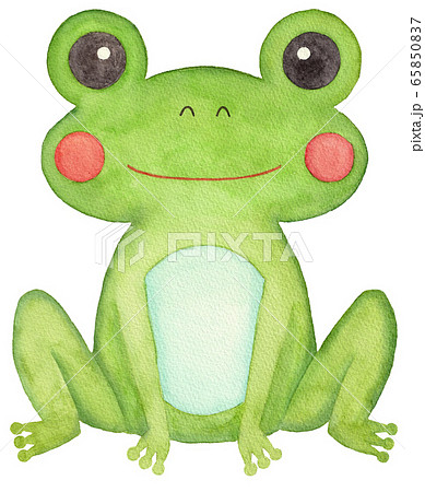 ニホンアマガエルのイラスト素材