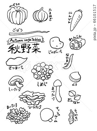 秋野菜のイラスト素材