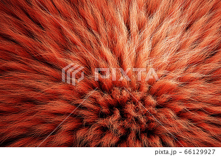 もじゃもじゃ シャギー じゅうたん カーペットのイラスト素材