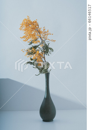 花 白バック 花瓶 イラスト シンプルの写真素材