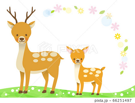 奈良の鹿のイラスト素材
