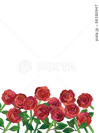バラ園のイラスト素材