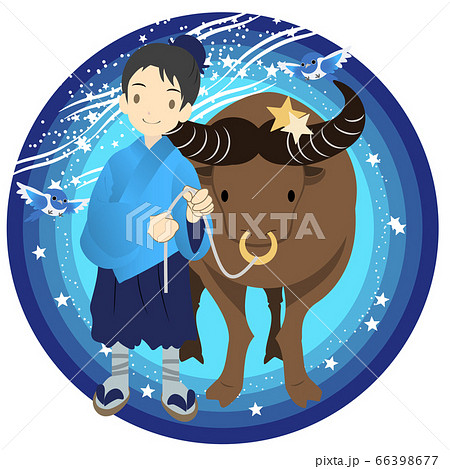 七夕 天の川 牛 彦星のイラスト素材