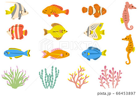 海水魚 海の魚 のイラスト素材集 ピクスタ