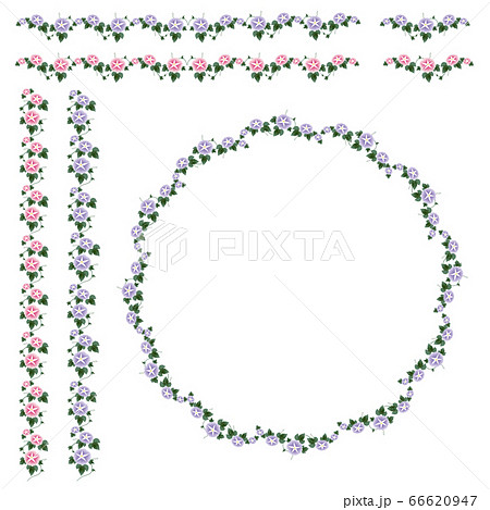 11月の花のイラスト素材 Pixta