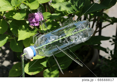 ペットボトル風車の写真素材