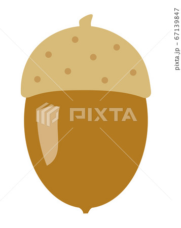 도토리 일러스트들 - Pixta