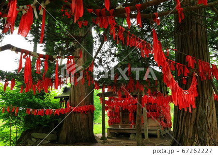 卯子酉様の写真素材