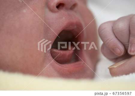 産声 女の子 赤ちゃんの写真素材