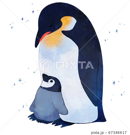 ペンギンのイラスト素材集 ピクスタ