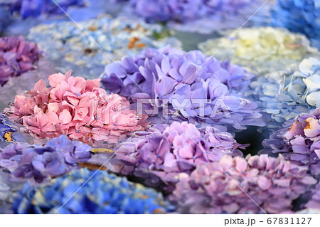 松前藩屋敷の写真素材