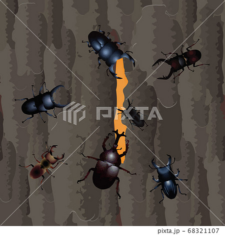 オオクワガタのイラスト素材