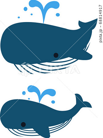 クジラ 潮吹き かわいい イラストの写真素材
