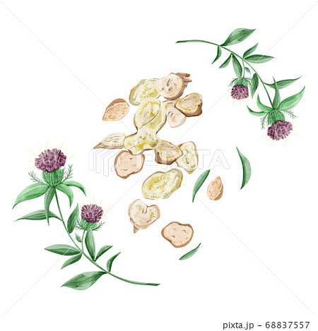 漢方薬のイラスト素材