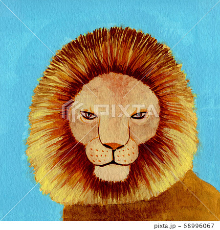 動物 ライオン 顔 イラストの写真素材