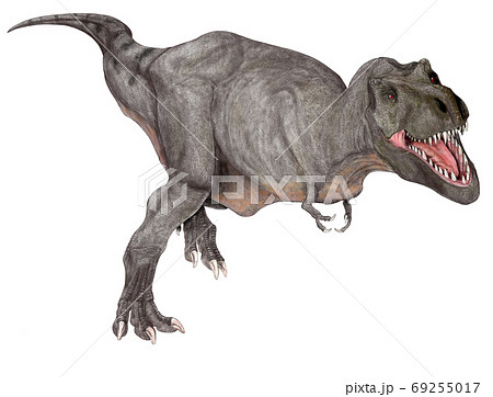 肉食恐竜の写真素材