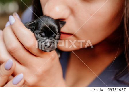 犬 幼児 新生児 新しいの写真素材