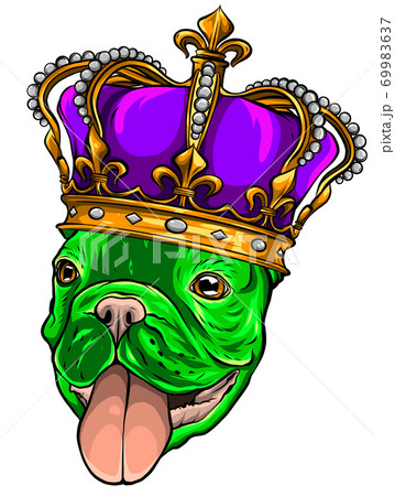 Hand Drawn Pug Cute Dog King Vectorのイラスト素材