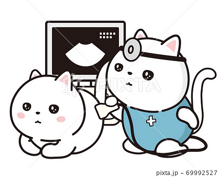 エコー検査のイラスト素材 - PIXTA