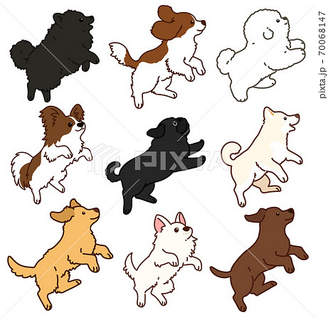 犬 可愛い犬 のイラスト素材集 ピクスタ