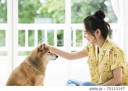 なでる 撫でる 犬 動物の写真素材