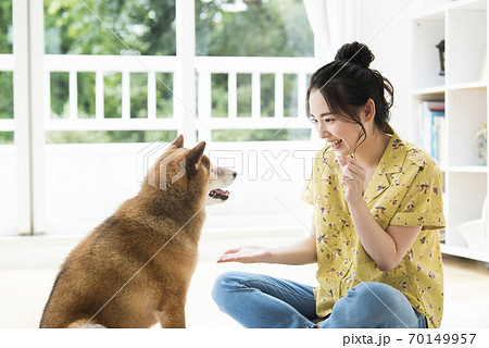 お手 しつけ 躾 犬の写真素材