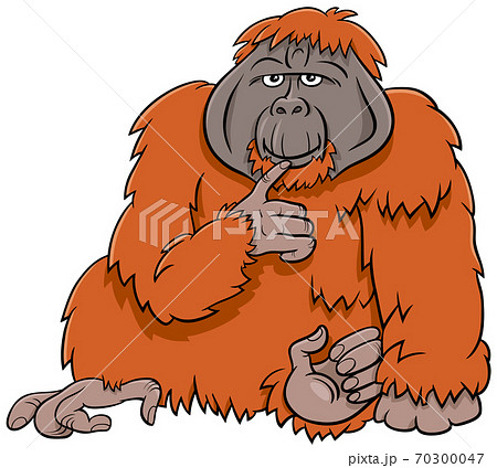 オランウータンのイラスト素材