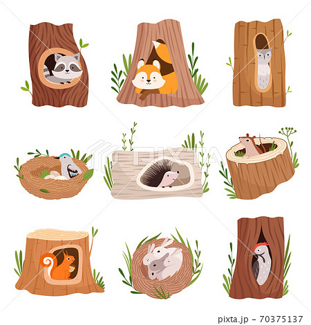 鳥の巣のイラスト素材