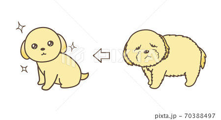 トリマー イラスト 動物の写真素材