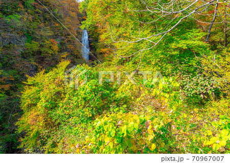 秋保大滝 紅葉の写真素材