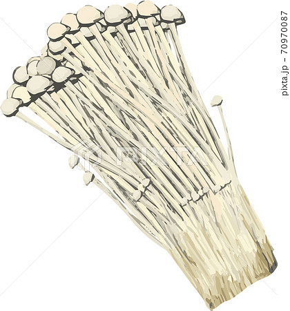 えのきのイラスト素材集 ピクスタ